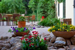 Patio-flowers-300x200.jpg